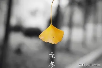 立冬搞笑说说文案