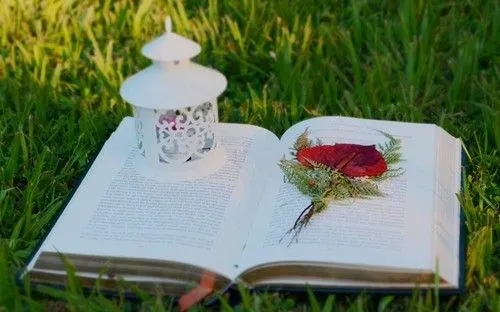 写孩子清晨上学的句子文案