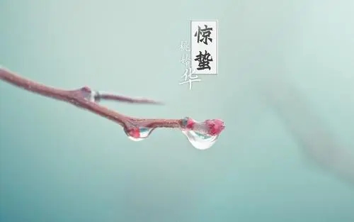 惊蛰节气诗词精选