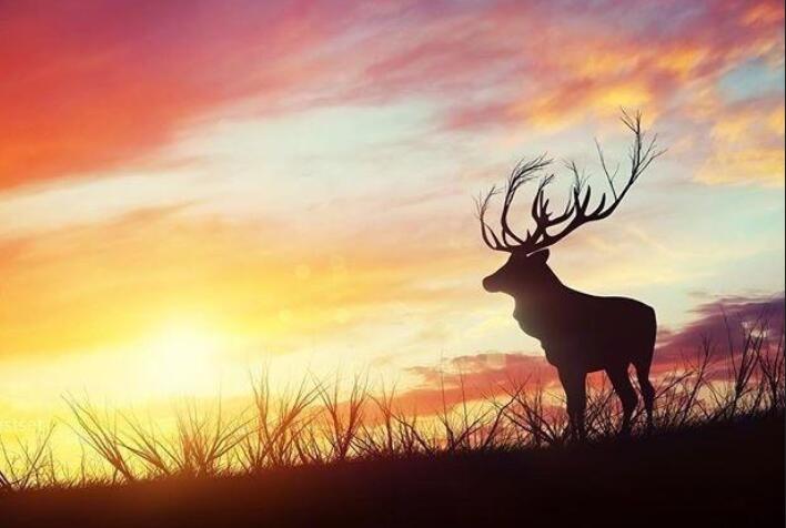 激励人心深奥的句子文案