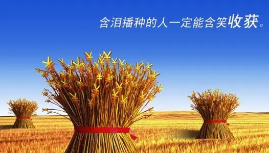 付出与收获的优美句子文案