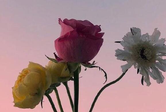 好久没晒照片幽默说说文案