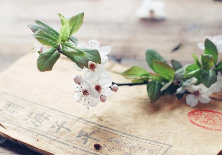 学会闭嘴经典语录文案