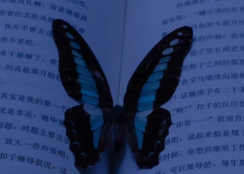 温柔浪漫的短文案