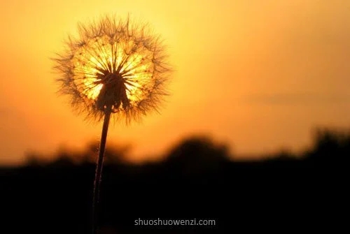 遇到困难一个人扛得说说文案