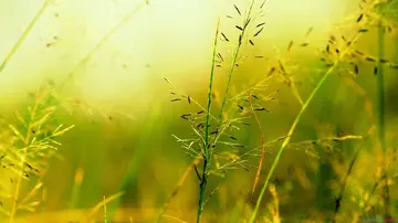 预防自然灾害的名人名言