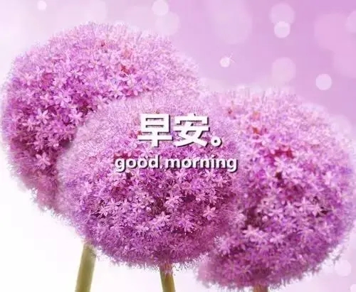 早安心语爱情句子文案