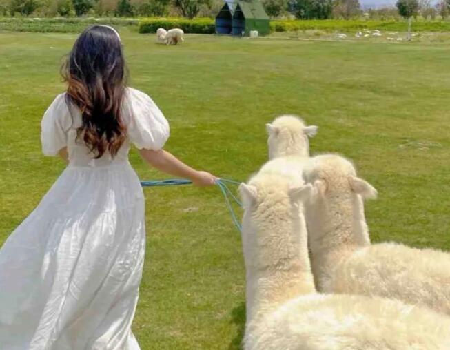 励志爱情的文案200字