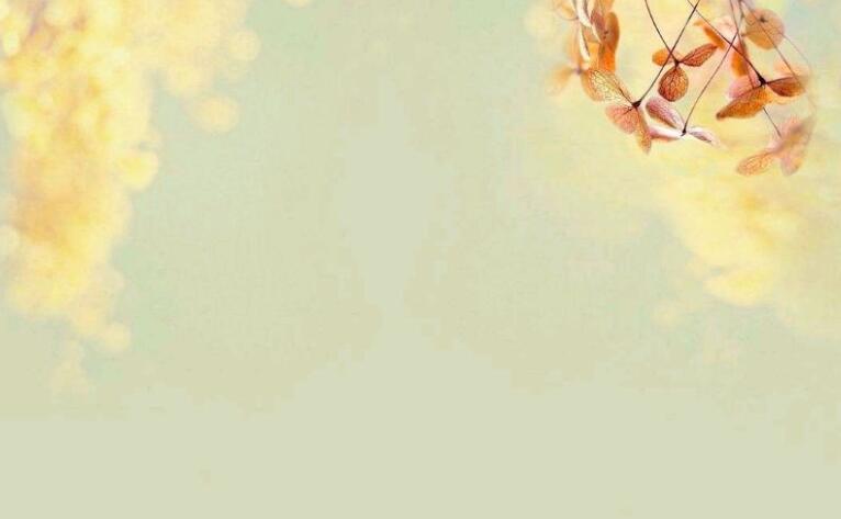 写说反话的句子文案