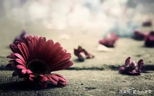 关于爱情失望的句子文案