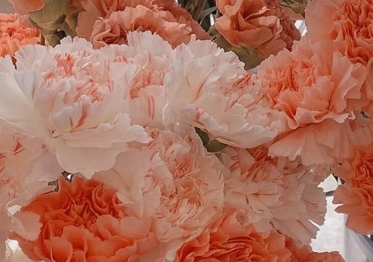 七个字以内的唯美句子文案