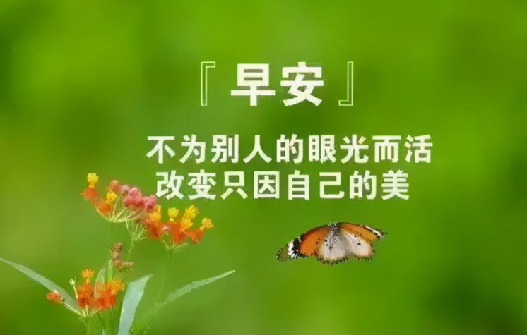 温馨问候早上好的句子文案