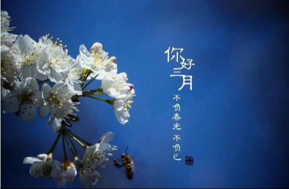 黑暗的三月的说说文案