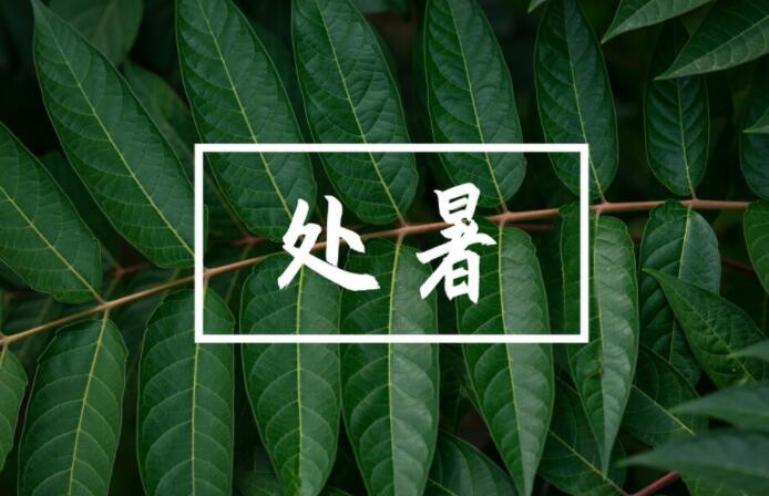 24节气的摘抄资料