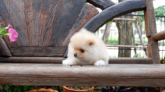 情侣要分开一段时间的说说文案