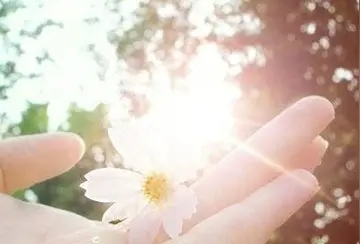 过得心累的句子文案