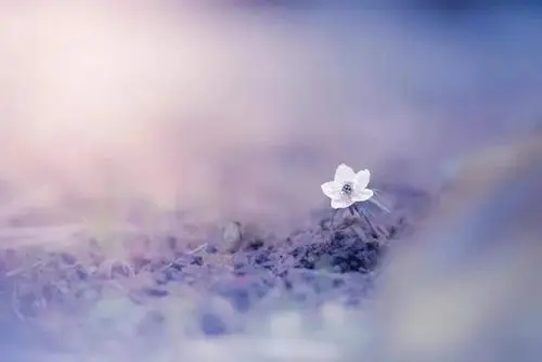 5个字的人生句子文案