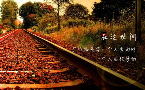 一个人孤单的经典说说文案