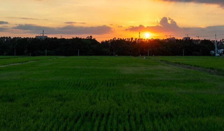 大功告成心情美的句子文案