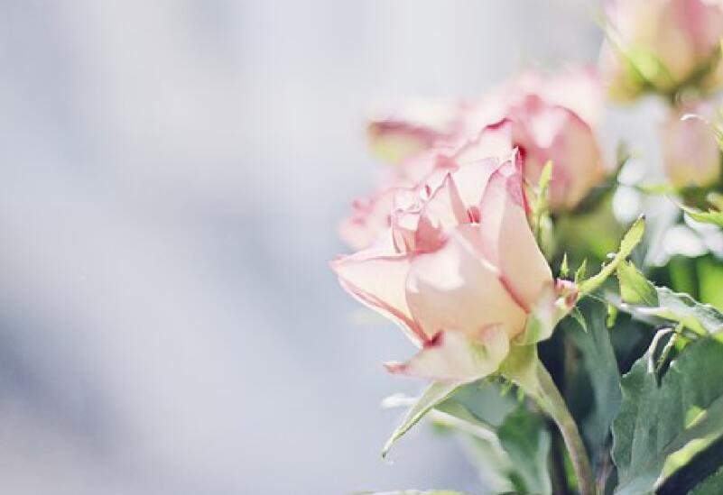 最感悟人心的句子文案