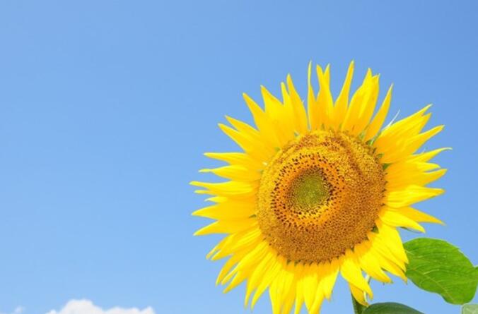 关于青春的励志短句