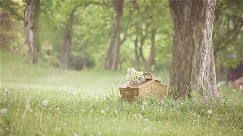 帮别人最后不讨好的句子文案