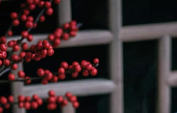 优美散文摘抄短句