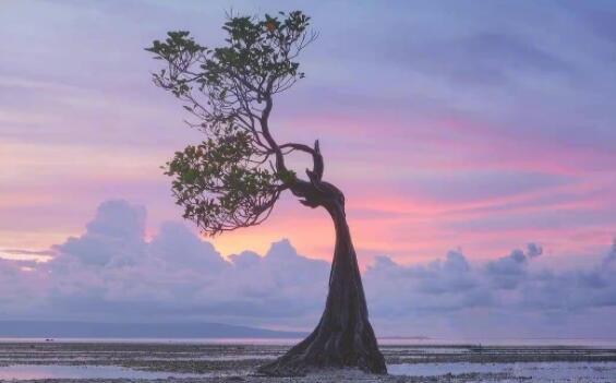 适合纹锁骨的英文文案短句