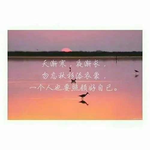 优美句子文案较长