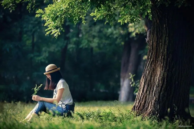 女人对生活态度的句子文案