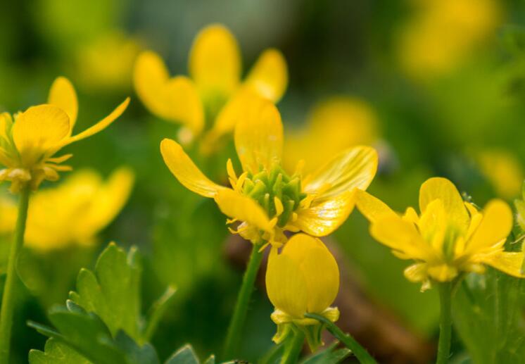 关于别人不理解你的句子文案