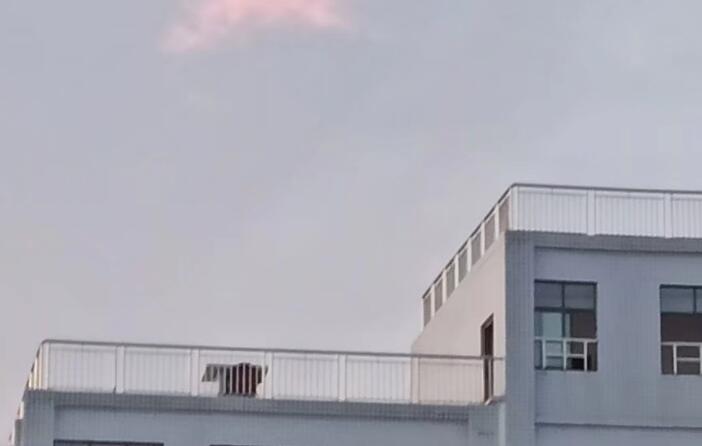 夏天总结优美的句子文案