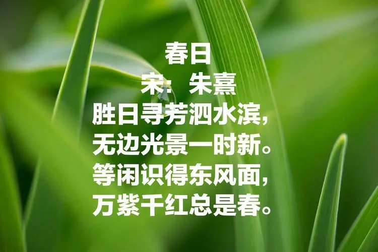 描写季节的诗句文案