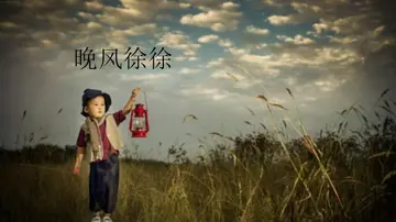 形容晚风舒服的句子文案