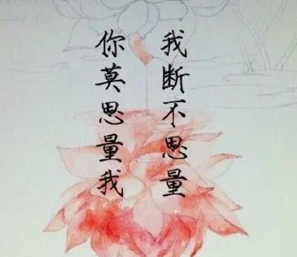 对感情彻底死心的诗句文案