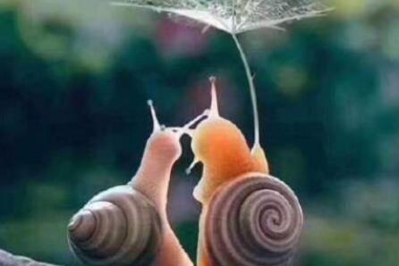 感觉自己人生感情失败的句子文案