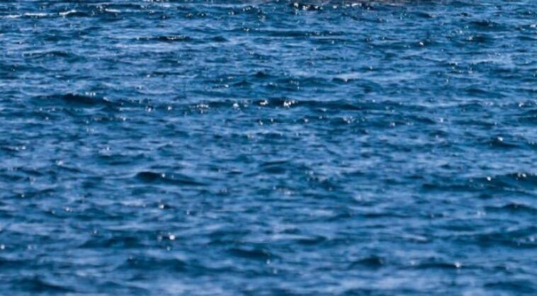 抒情细节描写的句子文案