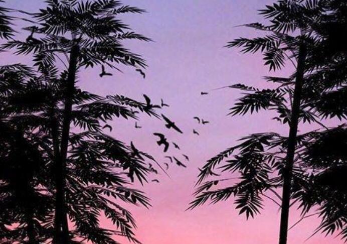 向梦想出发的句子文案