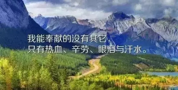 努力加油阳光的句子文案