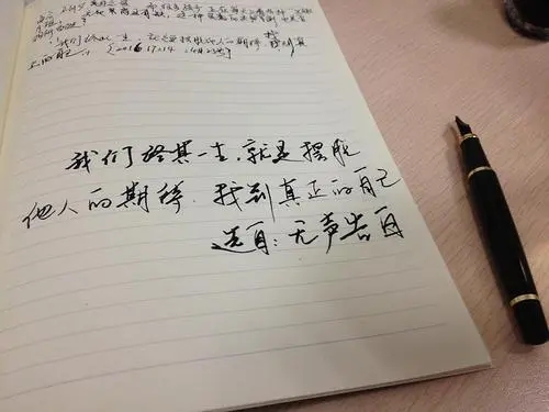 无声告白摘抄加赏析