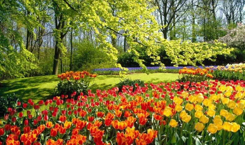 含云淡风轻的唯美句子文案