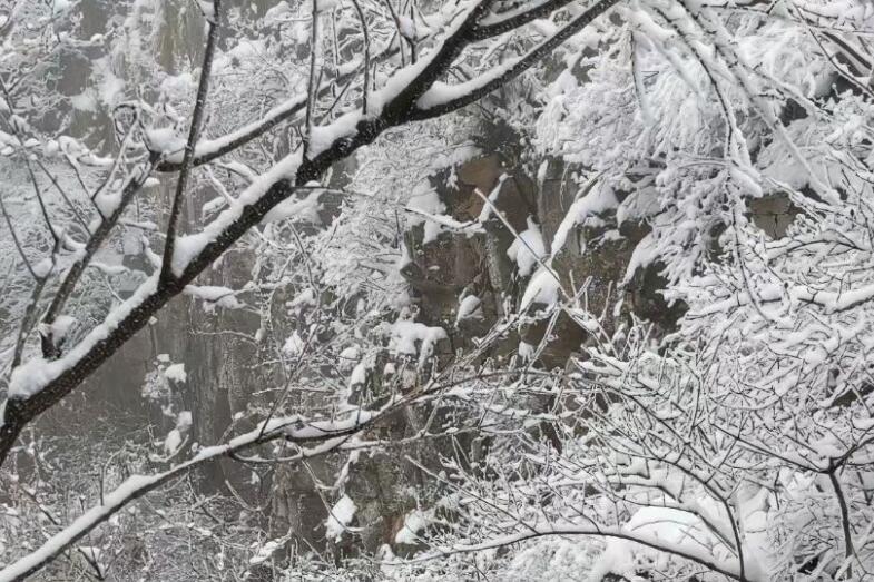 描写冬天山上的景色的句子文案