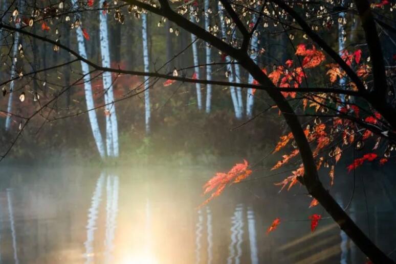 关于赞美秋风的诗句文案古诗