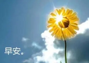 早安励志女人经典语录文案