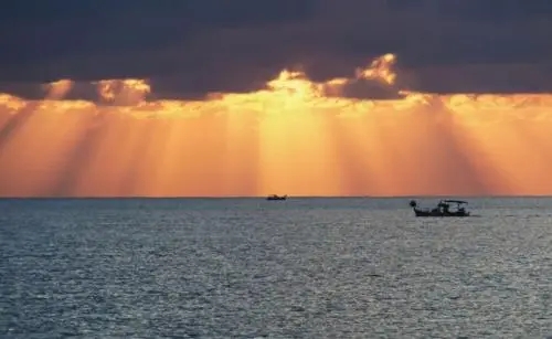 豪放洒脱的句子文案