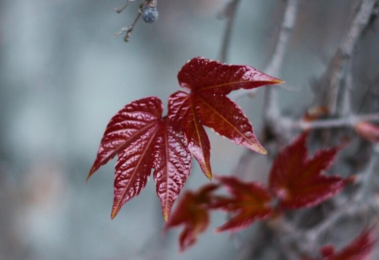 压抑憋屈的心情说说文案