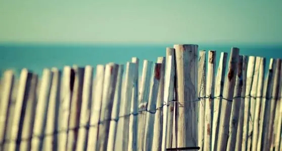 英文文案励志美文美句摘抄