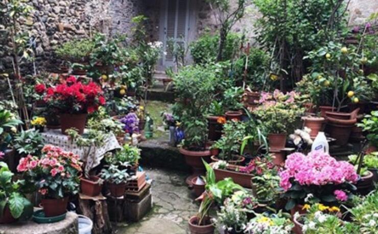 写给女人励志的话