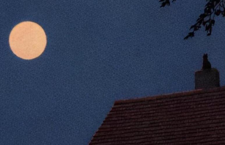 关心长辈的日常话语