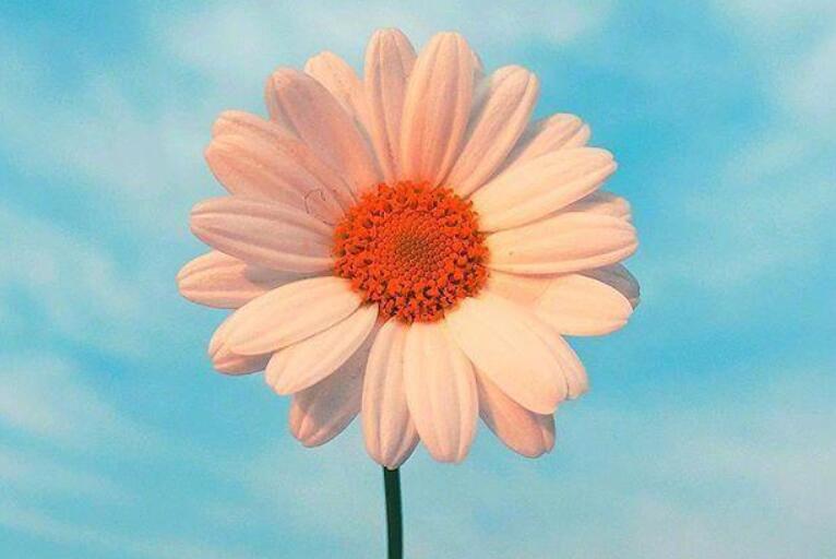 夸人最走心的话